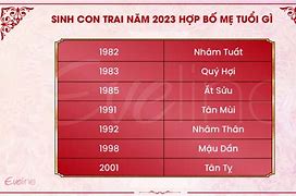 Bố 1983 Mẹ 1991 Sinh Con Năm 2023