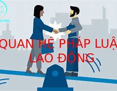 Đặc Điểm Quan Hệ Pháp Luật Lao Động Cá Nhân