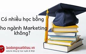 Du Học Ngành Marketing Tại Nhật Học Ở Đâu Tốt