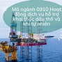 Mã Ngành Nghề Bán Lẻ Thực Phẩm