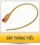 Ống Dẫn Nước Tiểu Là Gì