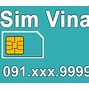 Sim Số Đẹp Vina 0919